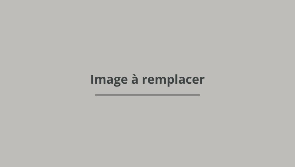 Mvt-reno - Comment réussir la pose de cloisons pour optimiser l'espace de votre appartement en 2025 ? - Featured Image 1